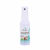 Hand Sanitizing Mist